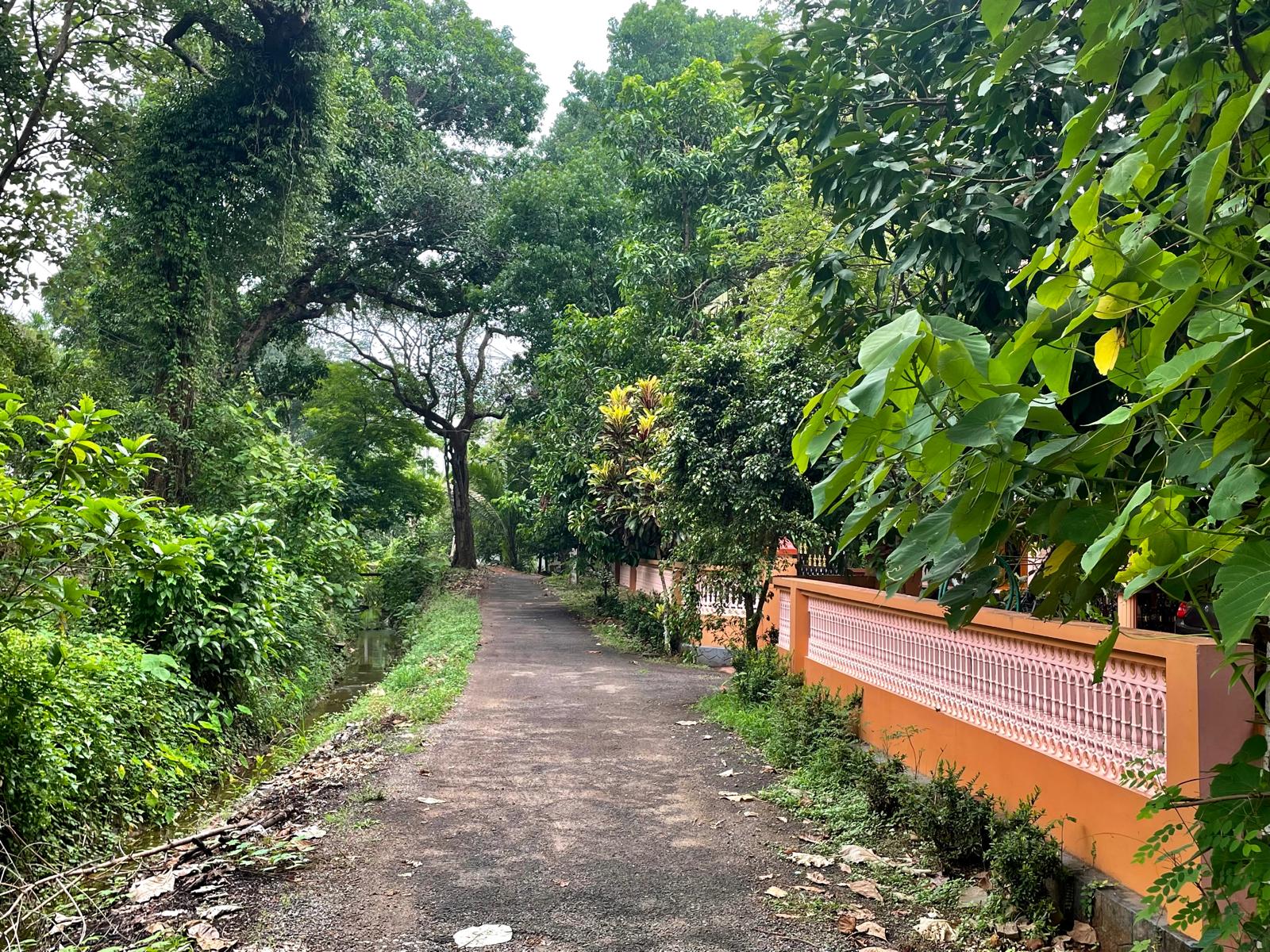 Avenue