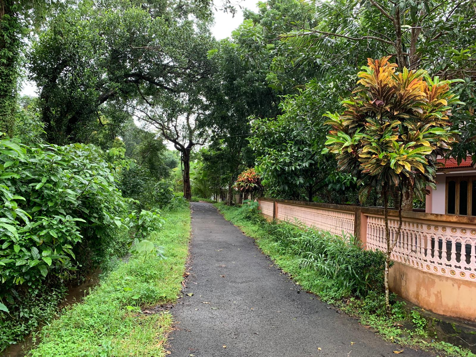 Ashram Pathway